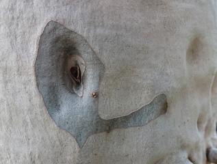DSC08696a